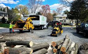 Best Tree Mulching  in Avondale, LA